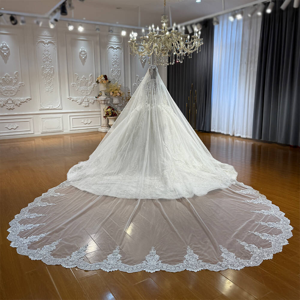 Amanada Novias luxury lace border long wedding veil - Image 4